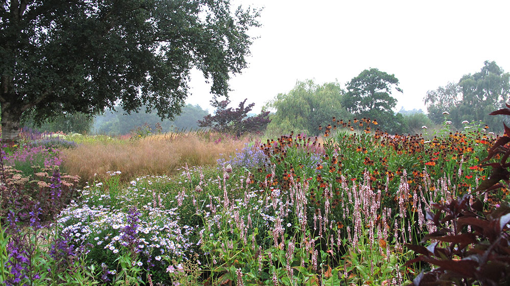 Piet Oudolf » Pensthorpe on Peter Oudolf
 id=81214